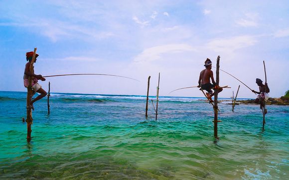 ¡Completa tu estancia!