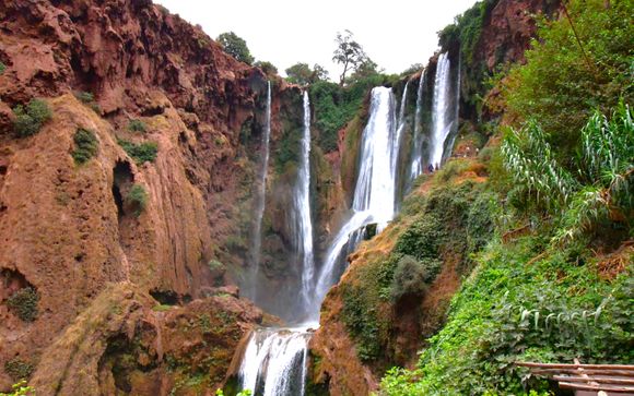 ¡Tus actividades incluidas según la duración elegida!