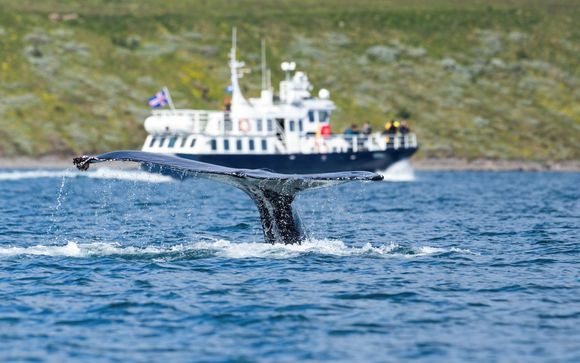Tus excursiones incluidas según la duración y fechas de la estancia
