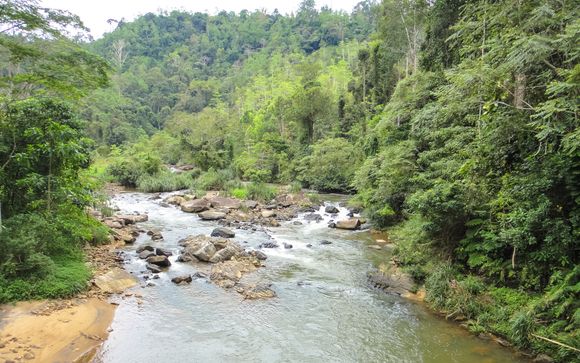 ¡Completa tu estancia!