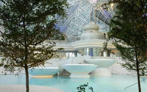 Tus opciones incluidas