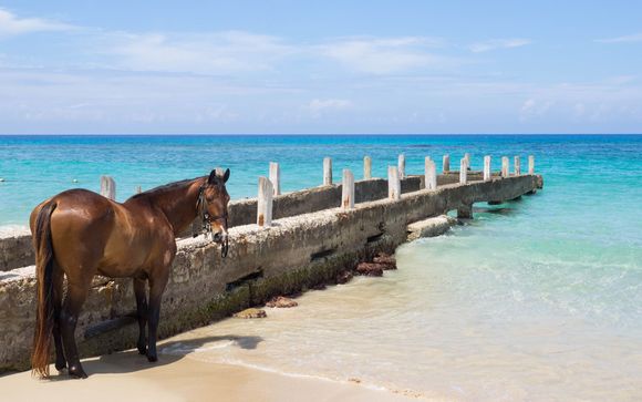 ¡Completa tu estancia!