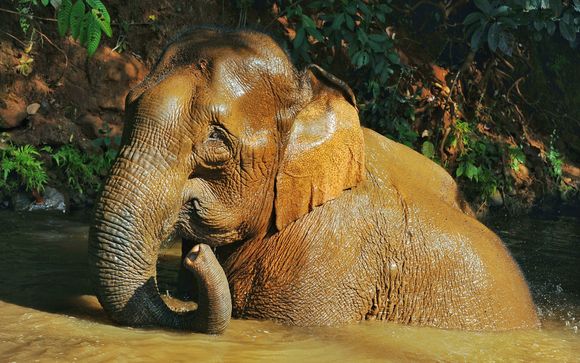 ¡Completa tu estancia!