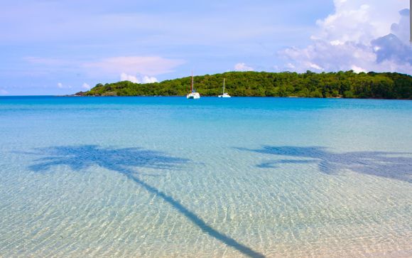 ¡Completa tu estancia!