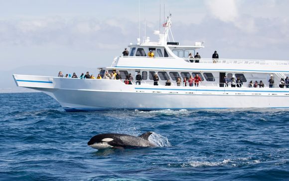 ¡Completa tu estancia!