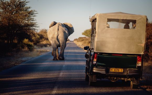 ¡Completa tu estancia!