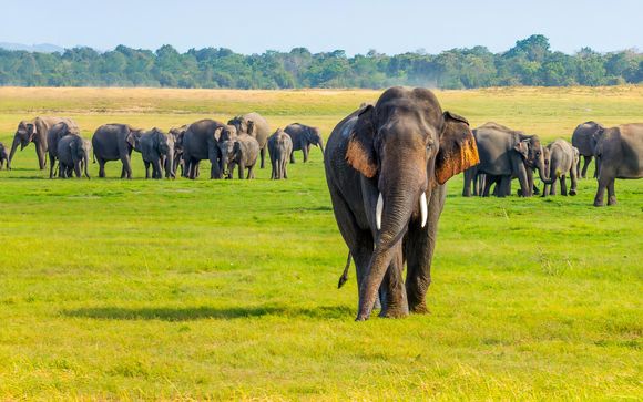 ¡Completa tu estancia!