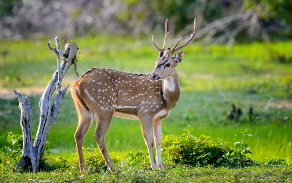 ¡Completa tu estancia!