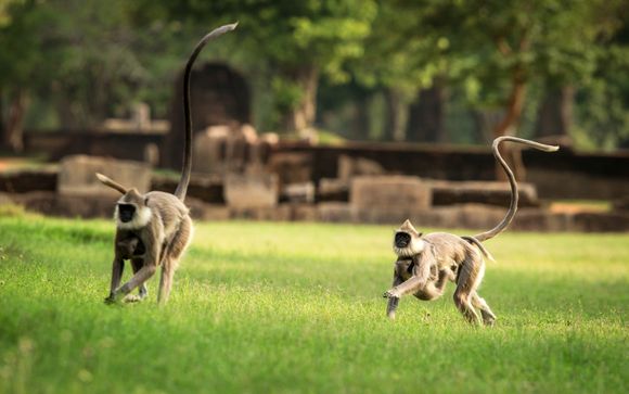 ¡Completa tu estancia!