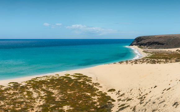 Fuerteventura, en Canarias, te espera