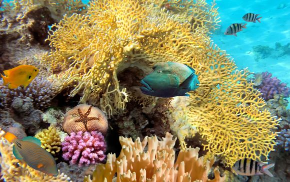 ¡Completa tu estancia!