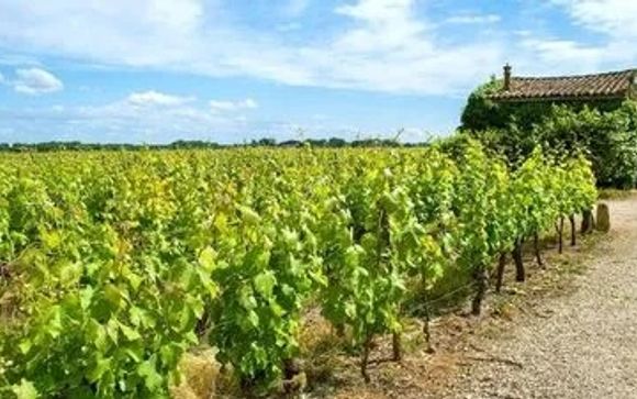 Tu itinerario de viaje