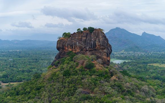 ¡Completa tu estancia!