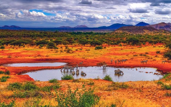 Tu itinerario durante el safari