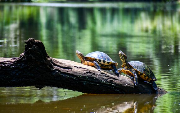 ¡Completa tu estancia!