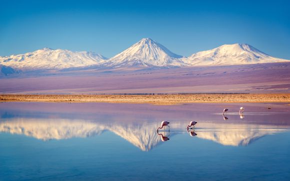 ¡Completa tu estancia!