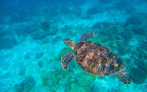 ¡Completa tu estancia!