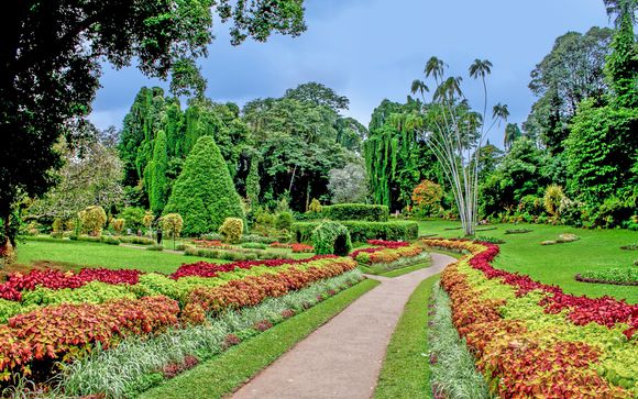 ¡Completa tu estancia!