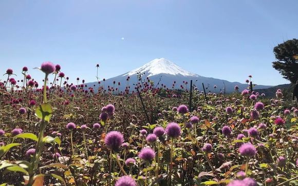 ¡Completa tu estancia!