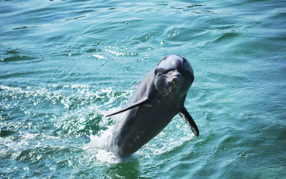 ¡Completa tu estancia!