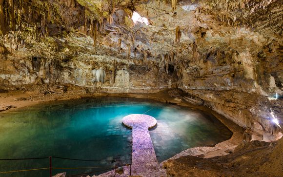 ¡Tus actividades incluidas!