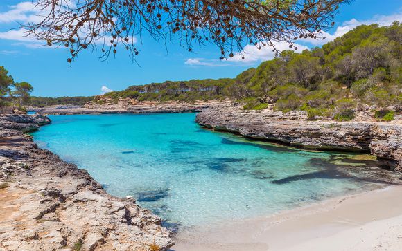 Can Picafort, en Mallorca te espera
