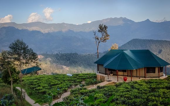 Madulkelle Tea and Eco Lodge 4*