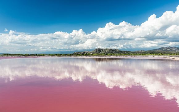 Extensión al Lago Rosa y la isla de Gorée (solo oferta 2)
