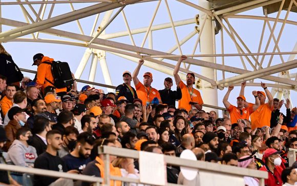 Tu programa en detalle