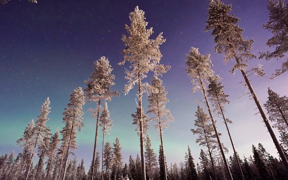 ¡Completa tu estancia!