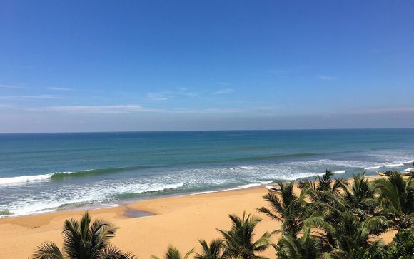 Panadura, en Sri Lanka, te espera