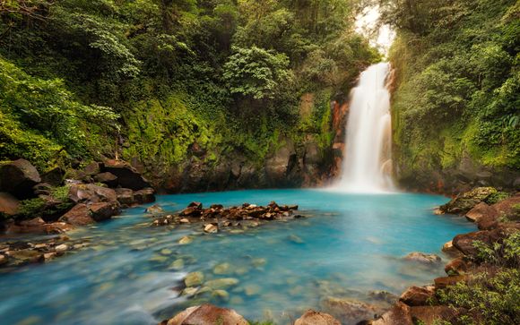 ¡Completa tu estancia!