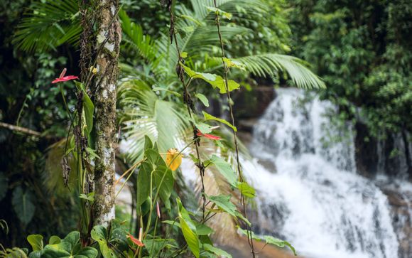 ¡Completa tu estancia!