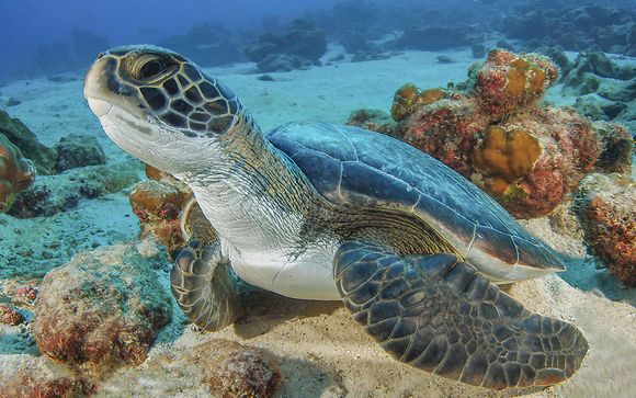 ¡Completa tu estancia!