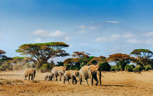 Combinado Safari en Kenia con extensión a Seychelles