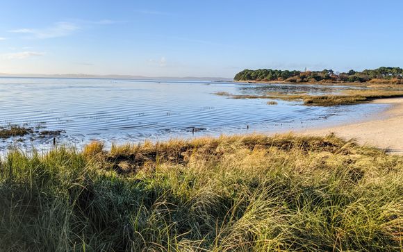 Lège-Cap-Ferret, en Nueva Aquitania, te espera