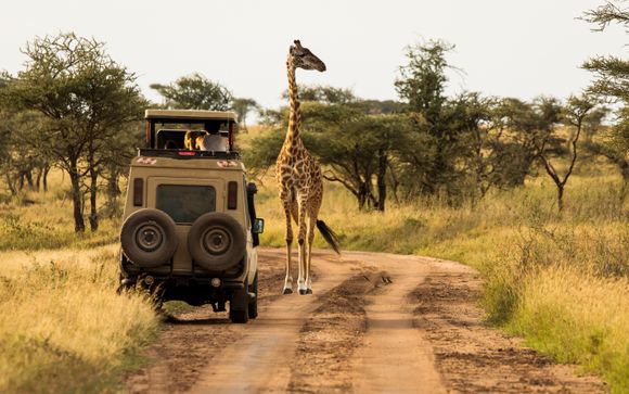 Tu itinerario durante el safari