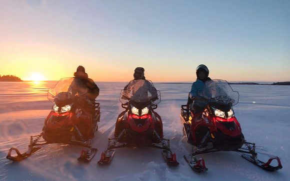 Tus opciones incluidas