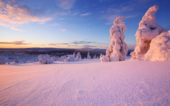 Tus opciones incluidas