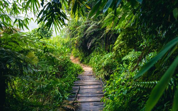 ¡Completa tu estancia!