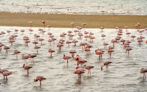 ¡Completa tu estancia!