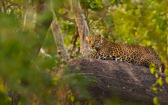 ¡Completa tu estancia!