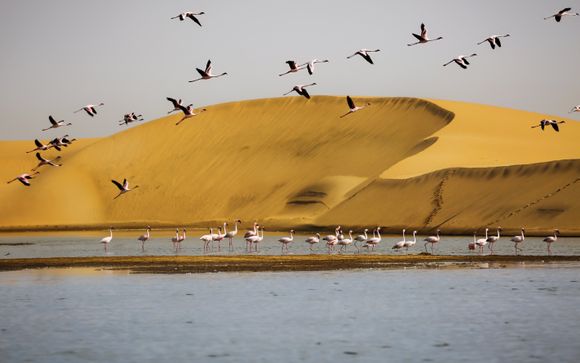 ¡Completa tu estancia!