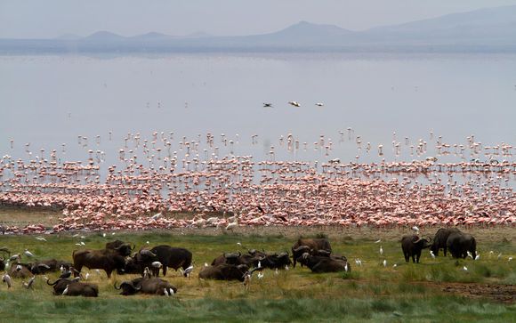 Tu itinerario durante el safari