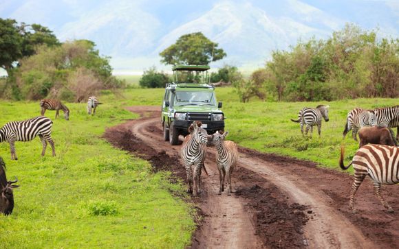 Tu itinerario durante el safari