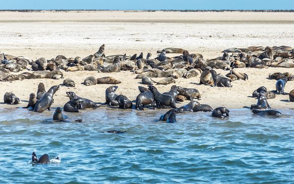 ¡Completa tu estancia!