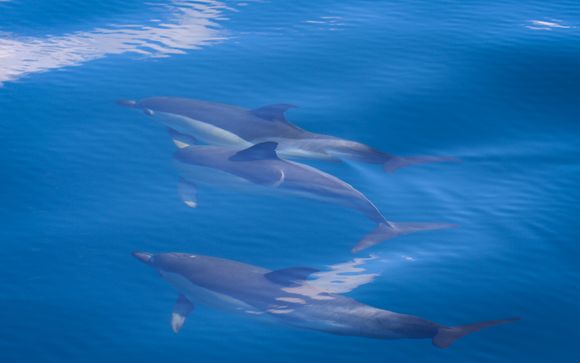 ¡Completa tu estancia!