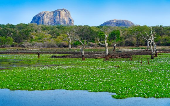 Tu tour por Sri Lanka