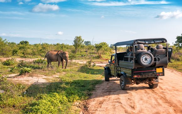 Sri Lanka en 7 noches