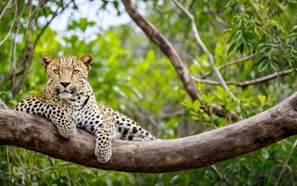 ¡Completa tu estancia!